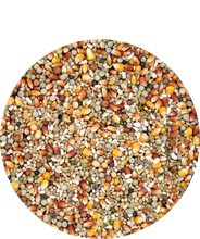 Load image into Gallery viewer, Champion Plus