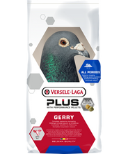 Load image into Gallery viewer, Gerry Plus