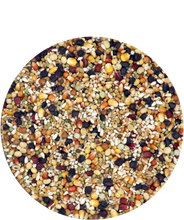 Load image into Gallery viewer, Black Label Superstar