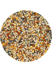 Load image into Gallery viewer, Varimax