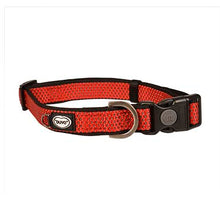 Load image into Gallery viewer, explore north nylon collar