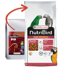 Load image into Gallery viewer, P19 parrot breeding pellets