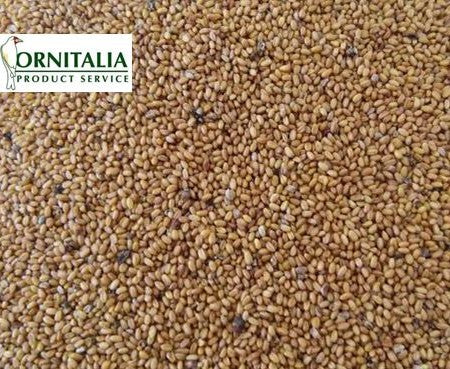 Ornitalia Camelina Sativa (gold of pleasure) 1kg