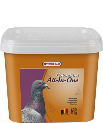 All in One grit mix