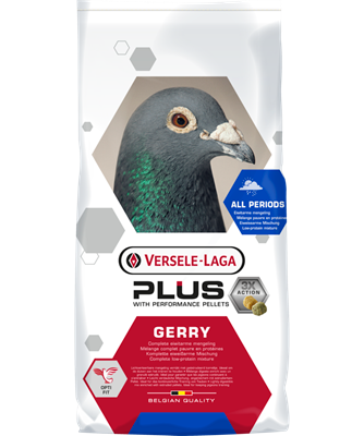 Gerry Plus
